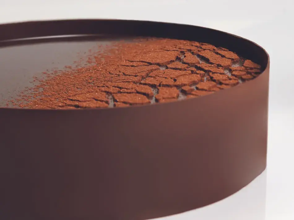 cq5dam.web.950.950 (8).webp